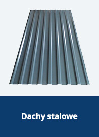 Dachy stalowe