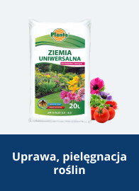 Uprawa, pielęgnacja roślin