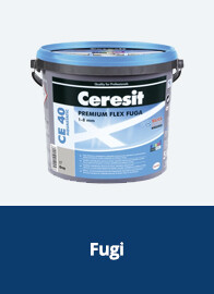 Fugi