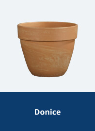Donice