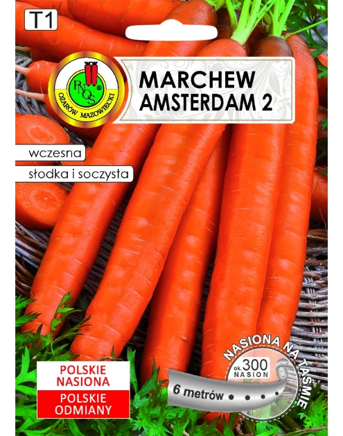 Zdjęcie: Marchew jadalna Amsterdam 2, 6 m PNOS