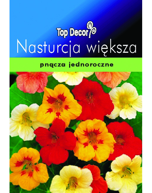 Zdjęcie: Nasturcja większa TOP DECOR