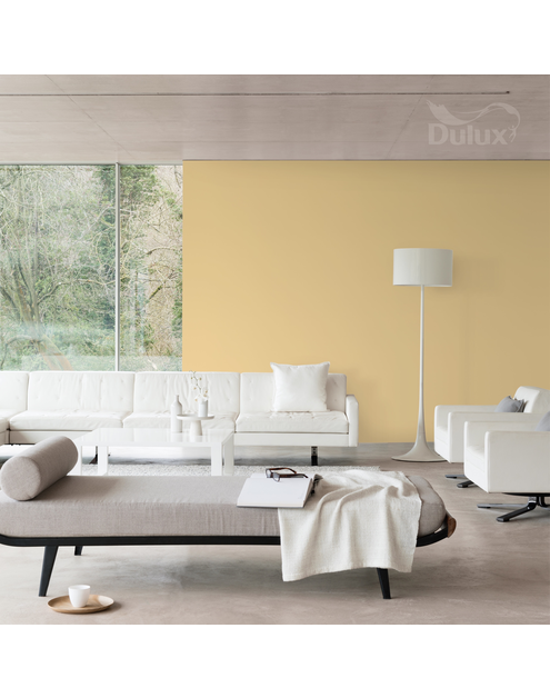 Zdjęcie: Farba do wnętrz EasyCare 5 L cud miód DULUX