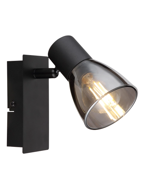 Zdjęcie: Lampa reflektorowa Claude 54307-1 GLOBO LIGHTING