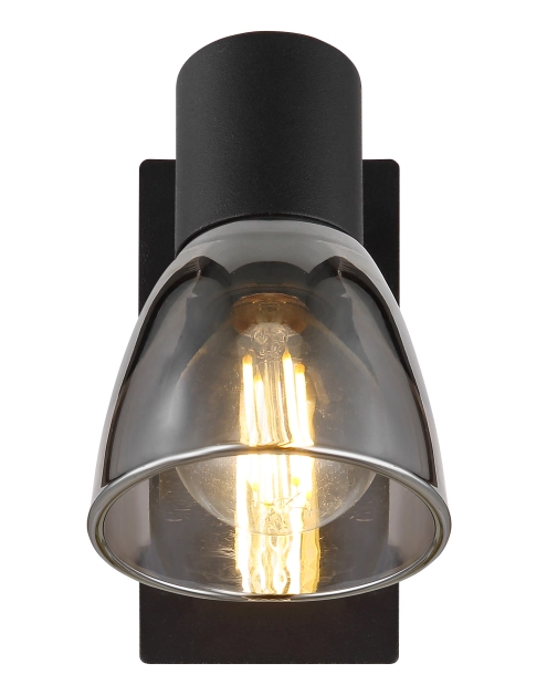 Zdjęcie: Lampa reflektorowa Claude 54307-1 GLOBO LIGHTING