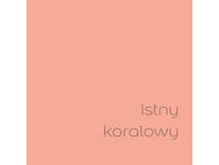 Zdjęcie: Farba do wnętrz EasyCare 5 L istny koralowy DULUX