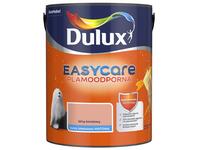 Zdjęcie: Farba do wnętrz EasyCare 5 L istny koralowy DULUX