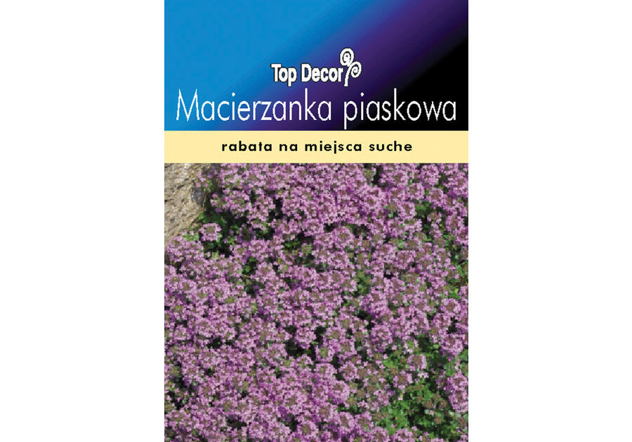 Zdjęcie: Macierzanka piaskowa TOP DECOR