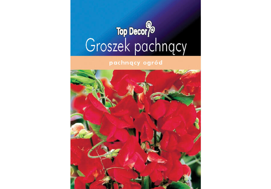 Zdjęcie: Groszek pachnący TOP DECOR