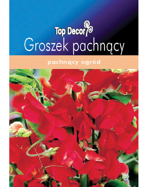 Zdjęcie: Groszek pachnący TOP DECOR