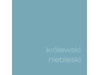 Zdjęcie: Tester farby EasyCare 0,03 L królewski niebieski DULUX