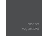 Zdjęcie: Tester farby EasyCare Kuchnia&Łazienka 0,03 L nocna wyprawa DULUX