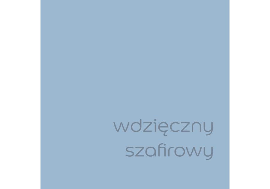 Zdjęcie: Tester farby EasyCare 0,03 L wdzięczny szafirowy DULUX