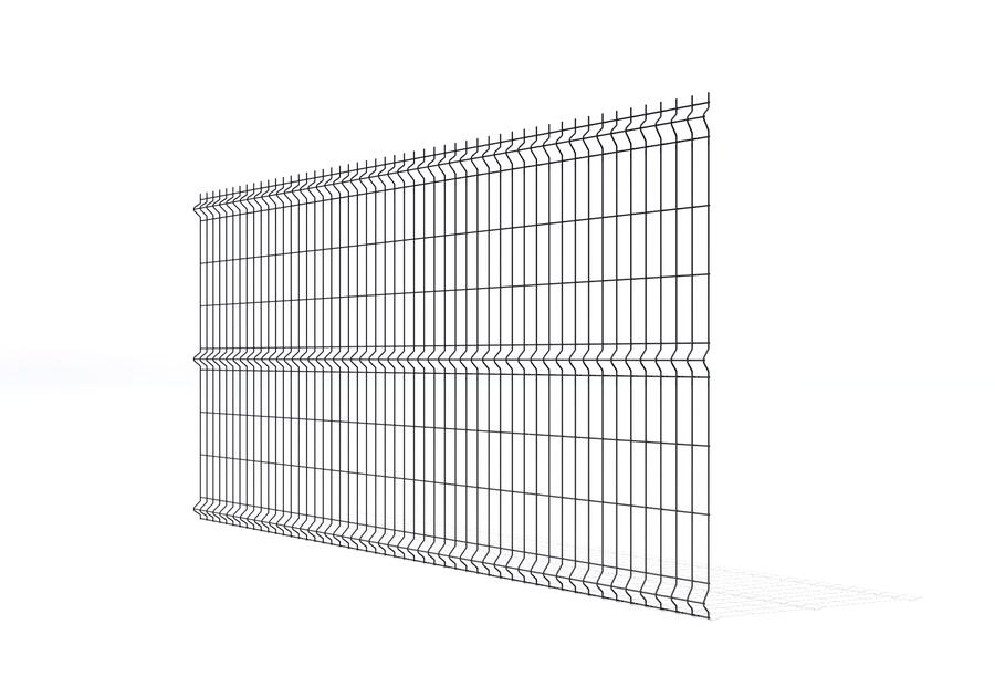 Zdjęcie: Panel N3D Light Ii 4 mm - 200x50/250x123 ocynk 7016 BETAFENCE