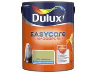 Zdjęcie: Farba do wnętrz EasyCare 5 L zieleń pod ochroną DULUX