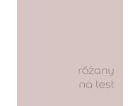 Zdjęcie: Tester farby EasyCare 0,03 L różany na test DULUX