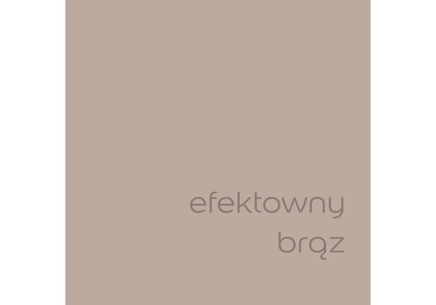 Zdjęcie: Farba do wnętrz EasyCare 5 L efektowny brąz DULUX