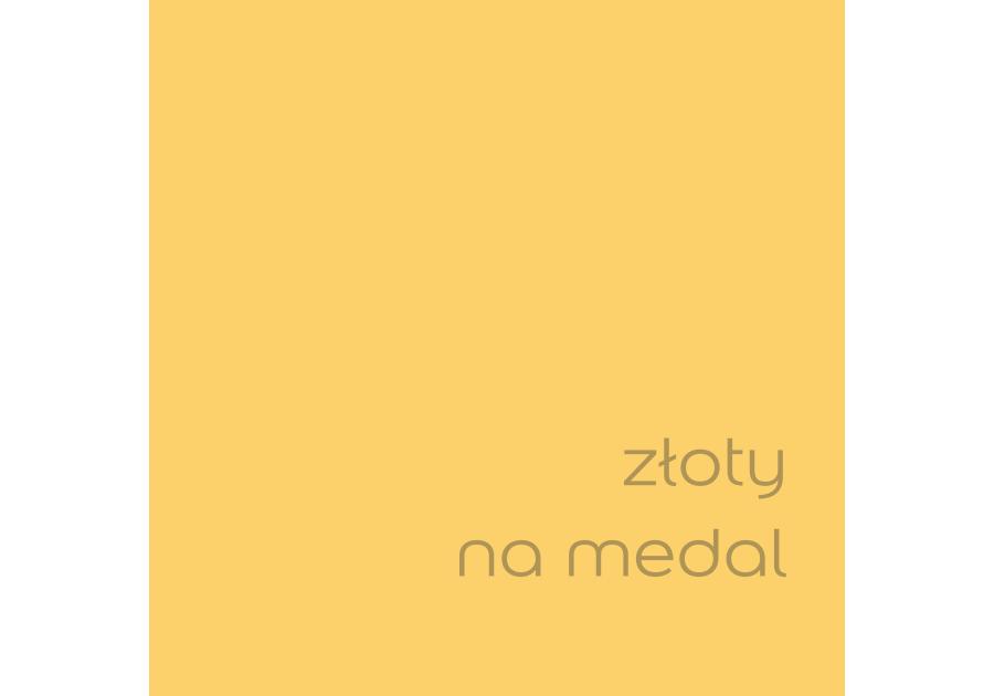 Zdjęcie: Tester farby EasyCare 0,03 L złoty na medal DULUX