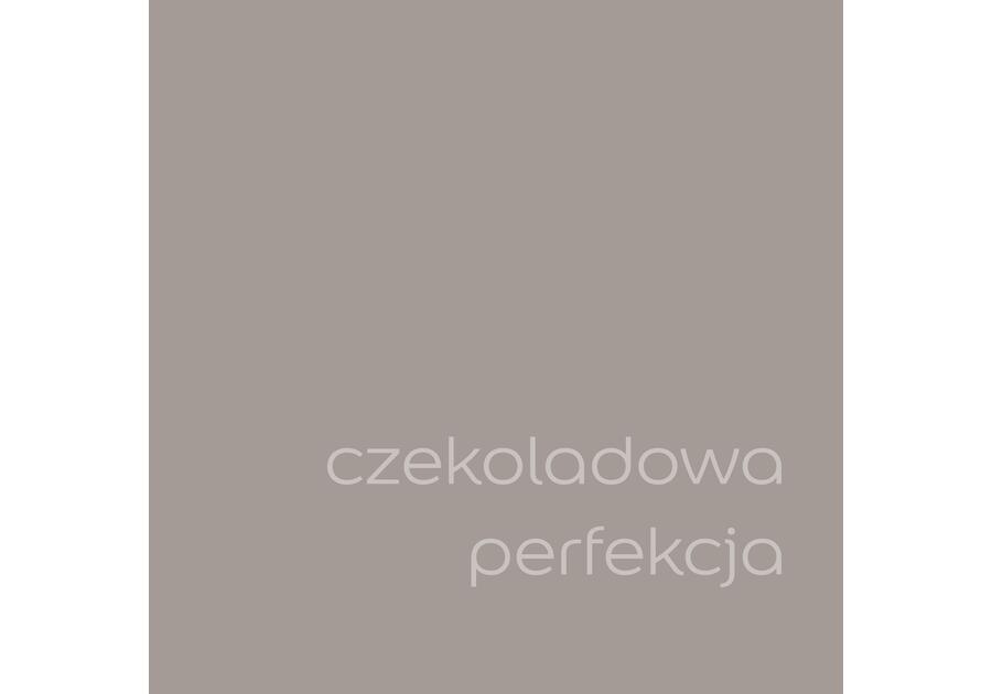 Zdjęcie: Farba do wnętrz EasyCare 5 L czekoladowa perfekcja DULUX