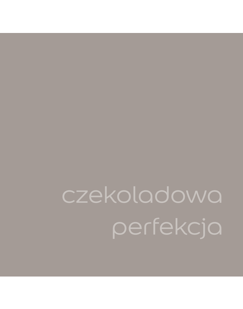 Zdjęcie: Farba do wnętrz EasyCare 5 L czekoladowa perfekcja DULUX