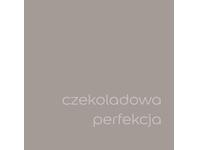 Zdjęcie: Farba do wnętrz EasyCare 5 L czekoladowa perfekcja DULUX