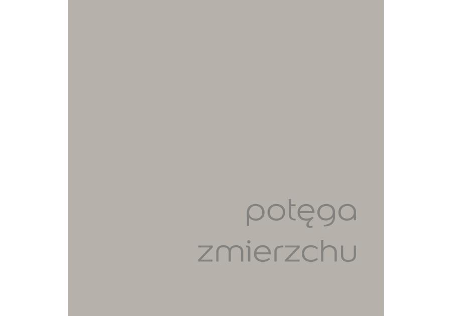 Zdjęcie: Farba do wnętrz EasyCare 5 L potęga zmierzchu DULUX