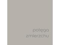 Zdjęcie: Farba do wnętrz EasyCare 5 L potęga zmierzchu DULUX