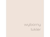 Zdjęcie: Farba do wnętrz EasyCare 5 L wyborny lukier DULUX