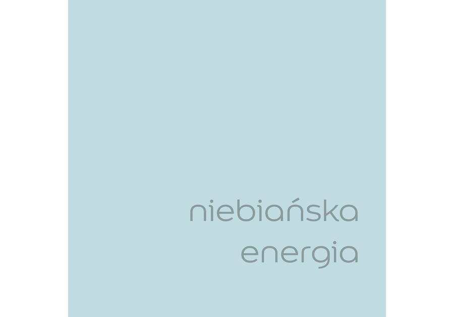 Zdjęcie: Farba do wnętrz EasyCare 5 L niebiańska energia DULUX