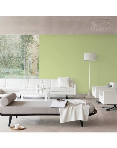 Zdjęcie: Farba do wnętrz EasyCare 5 L perfekcyjna pistacja DULUX