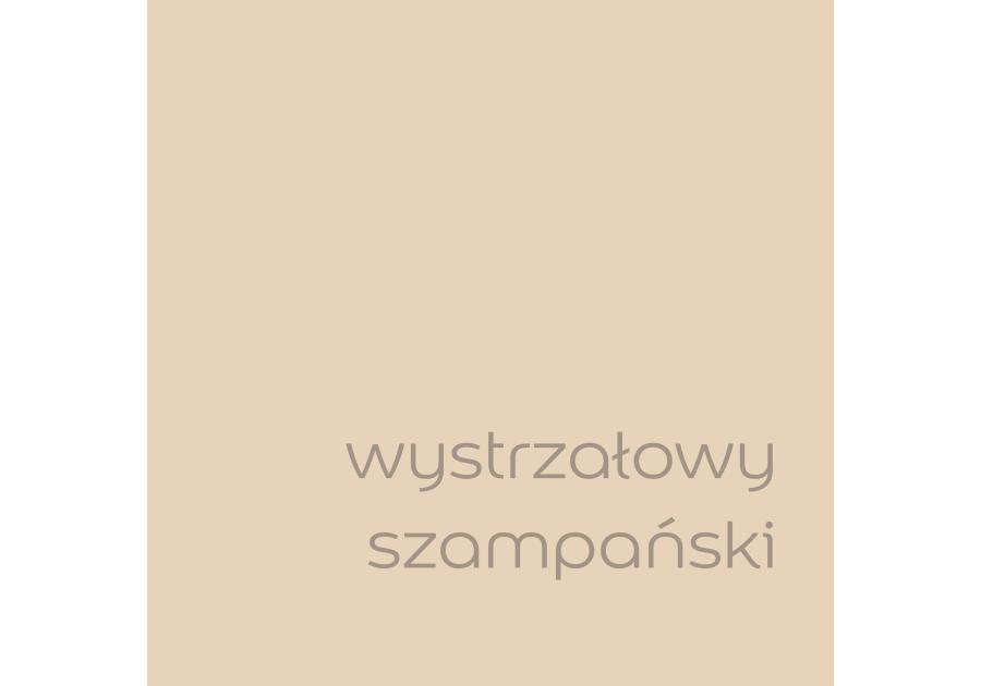 Zdjęcie: Farba do wnętrz EasyCare 5 L wystrzałowy szampański DULUX