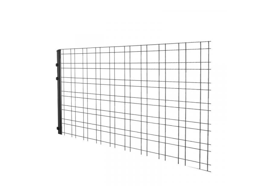 Zdjęcie: Panel ogrodzeniowy gabionowy Zenturo Classic 200x155 cm BETAFENCE