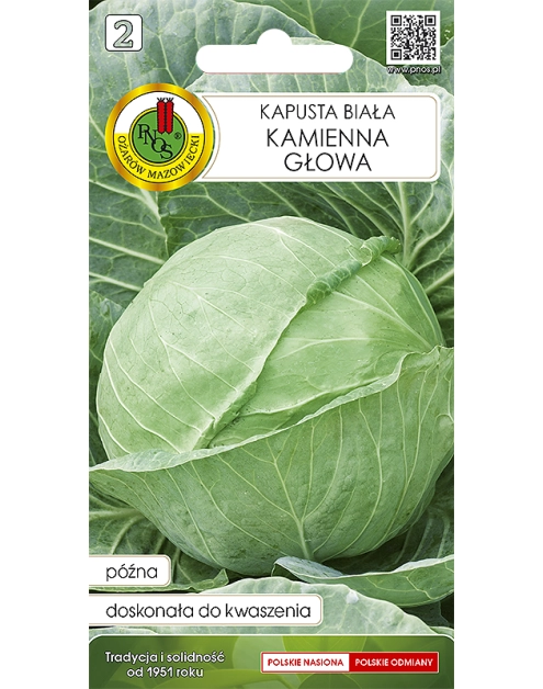 Zdjęcie: Kapusta głowiasta biała Kamienna Głowa 1 g PNOS