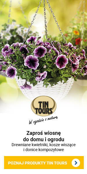 TIN TOURS