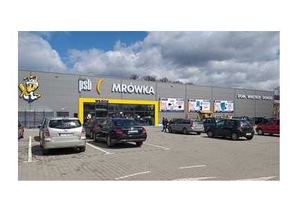 mrowka_starachowice_1.jpg