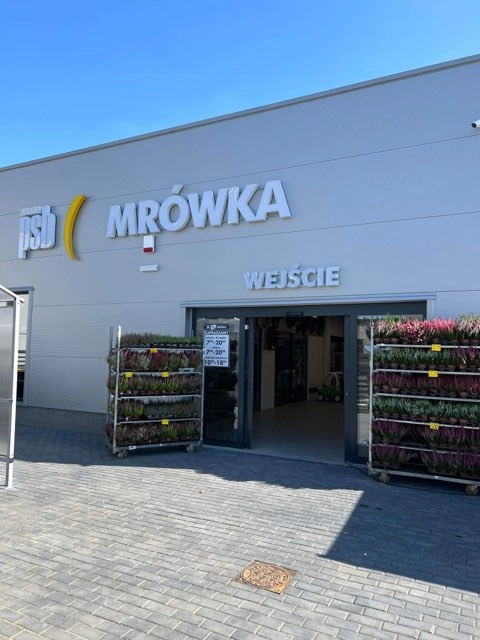 PSB Mrówka Wieruszów