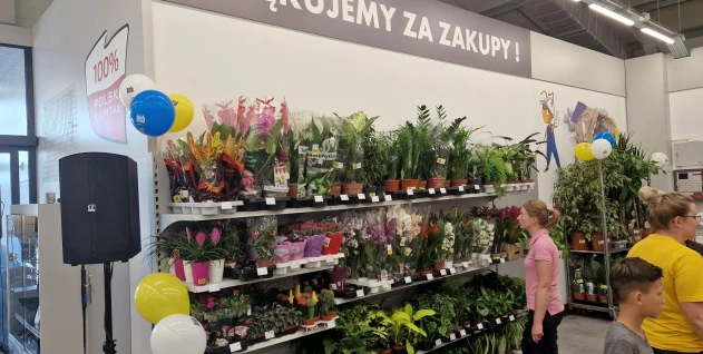 Zdjęcie: HFTRADECO RAFAŁ HERZYK SPÓŁKA KOMANDYTOWA